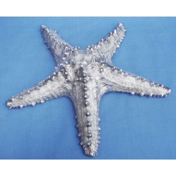 Silver Seastar 9 inch