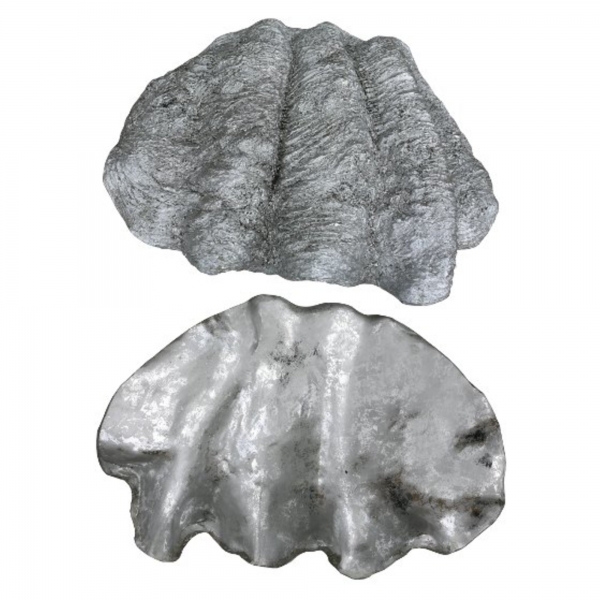 Silver Shell