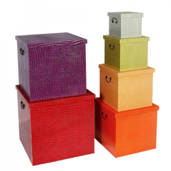 Lounge Lizard Multi Coloured Boxes
