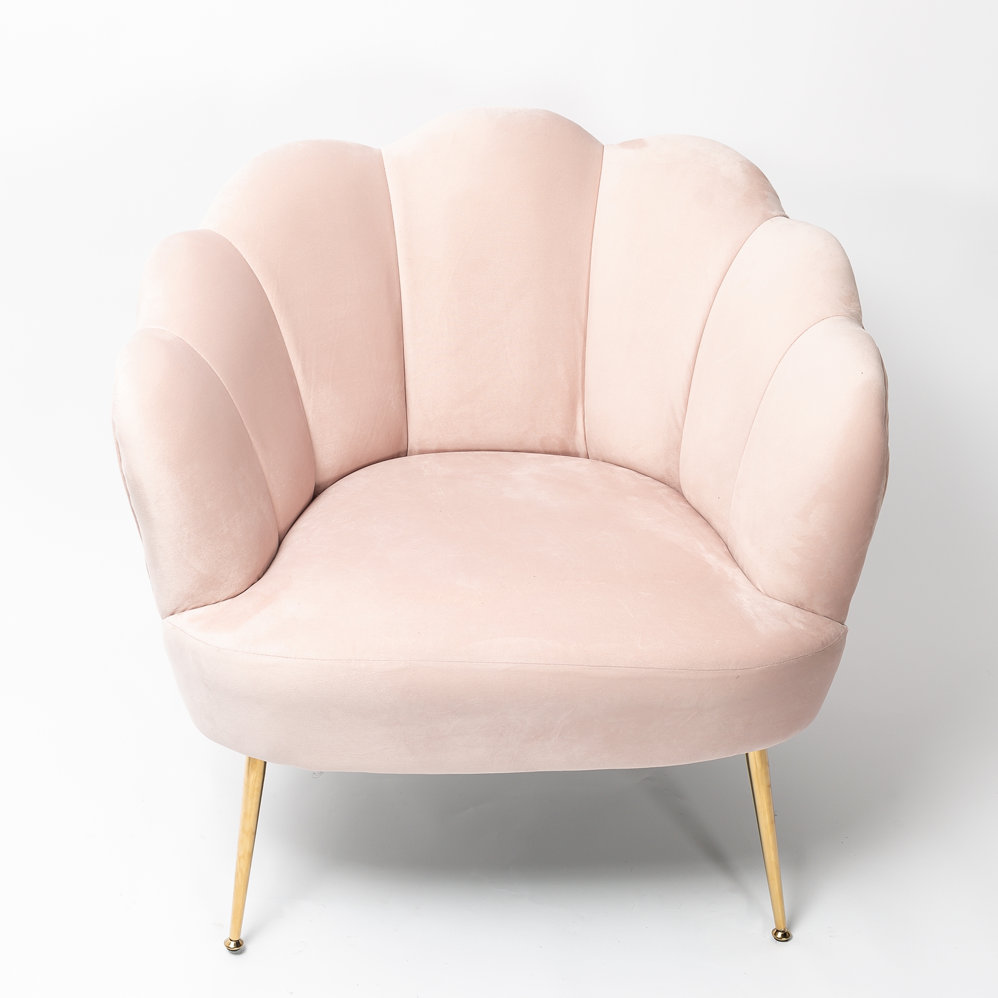 Blush Pink Velvet Lotus Cocktail Chair with Gold Legs