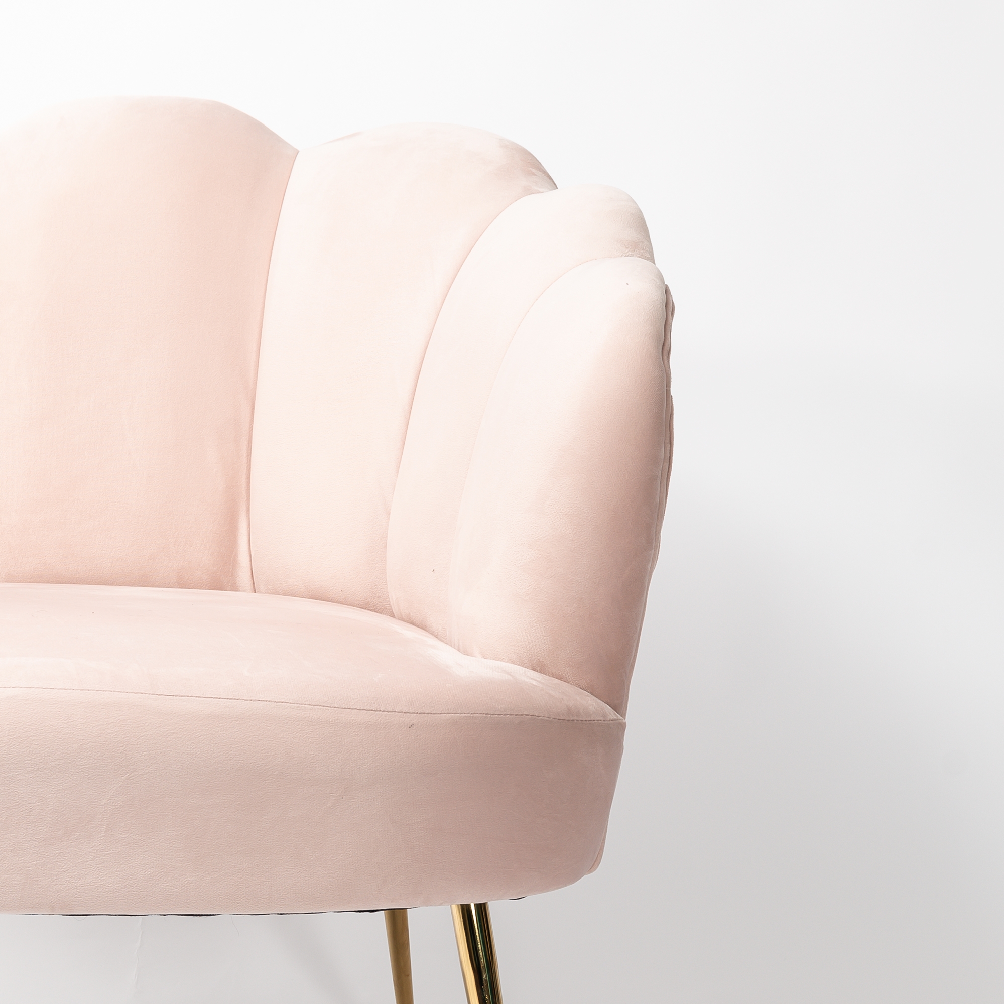 Blush Pink Velvet Lotus Cocktail Chair with Gold Legs