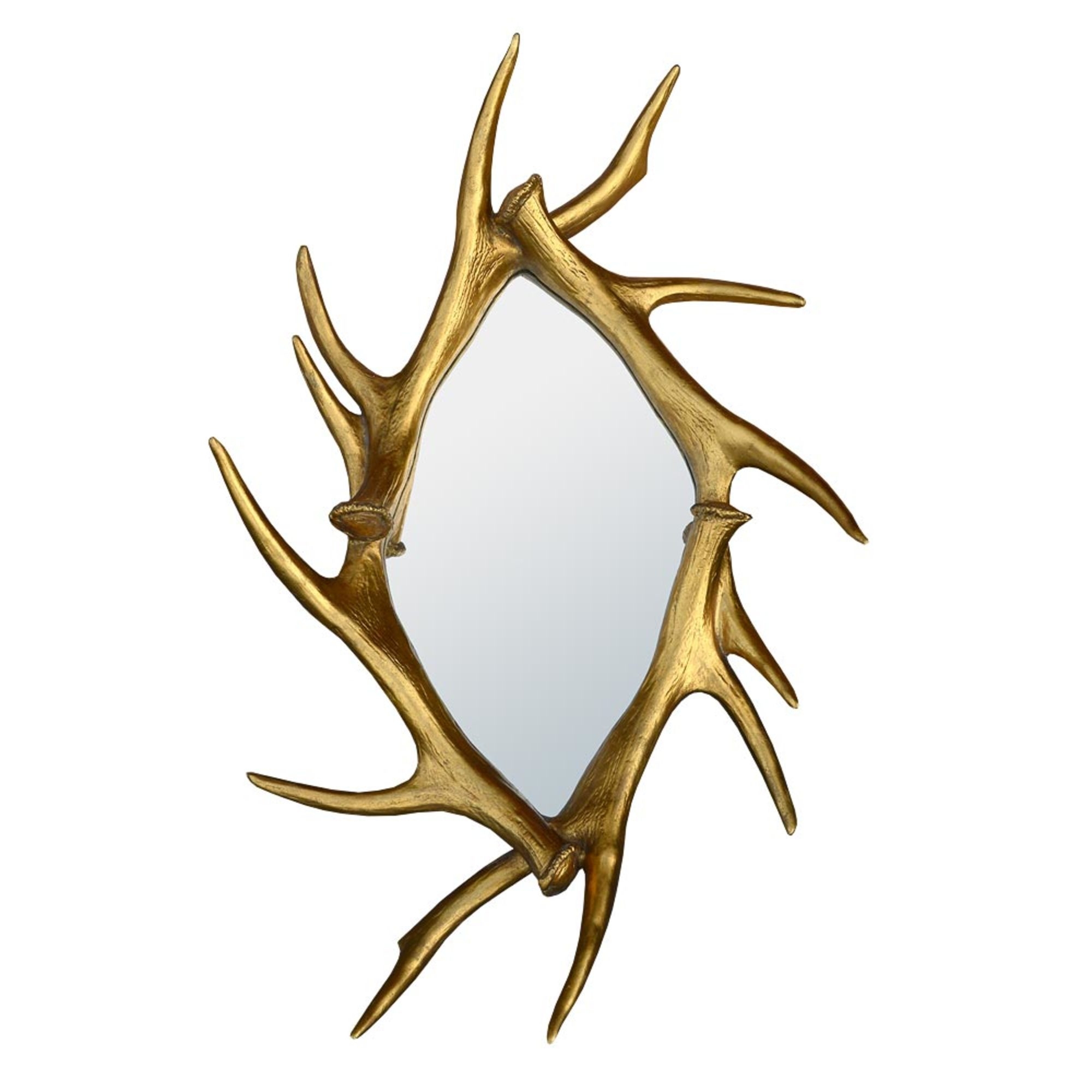 Gold antler frame with mirror